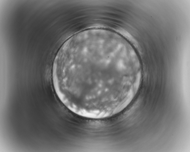 X0000088680945200706211906