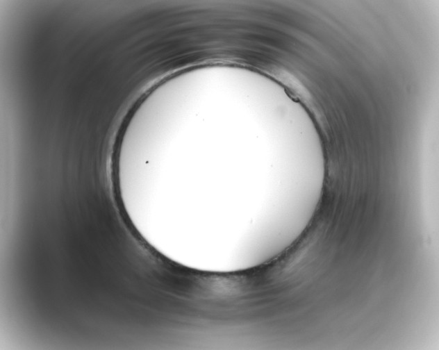 X0000088680947200706211906