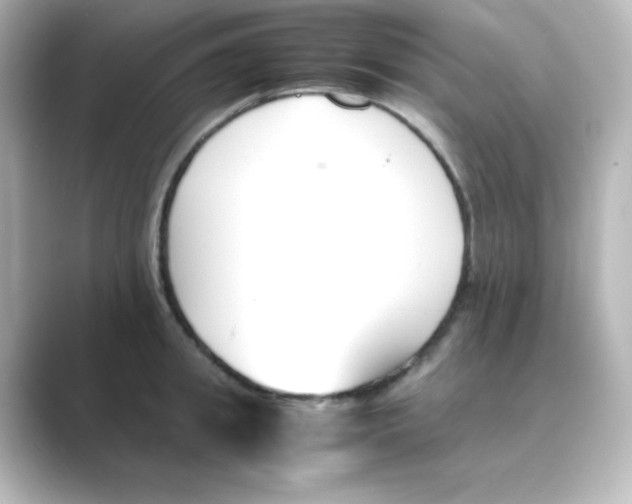 X0000088680949200706211906
