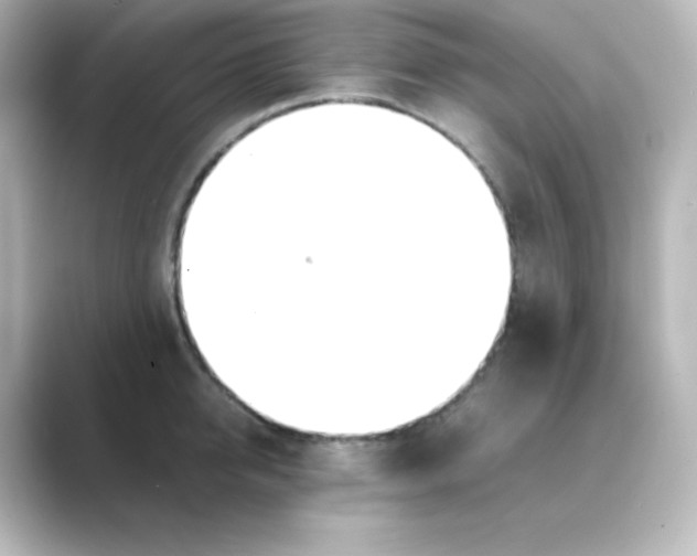 X0000088680950200706211906