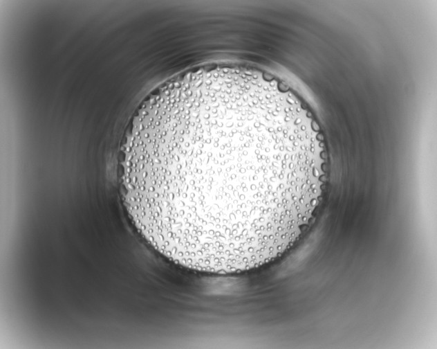 X0000088680953200706211906