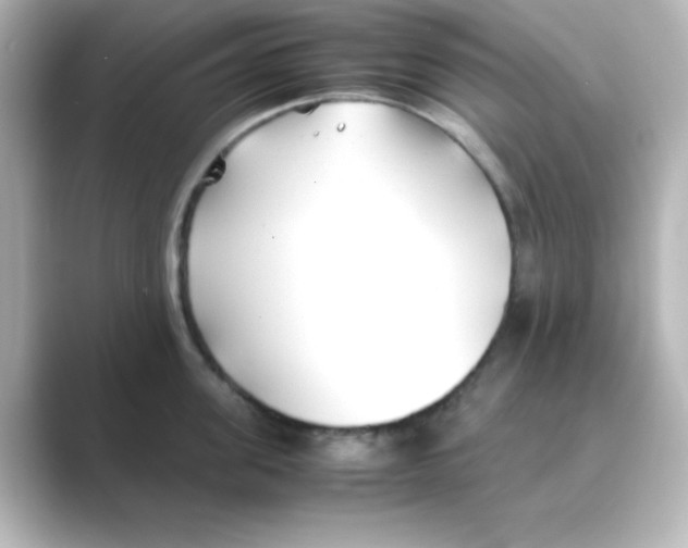 X0000088680955200706211906