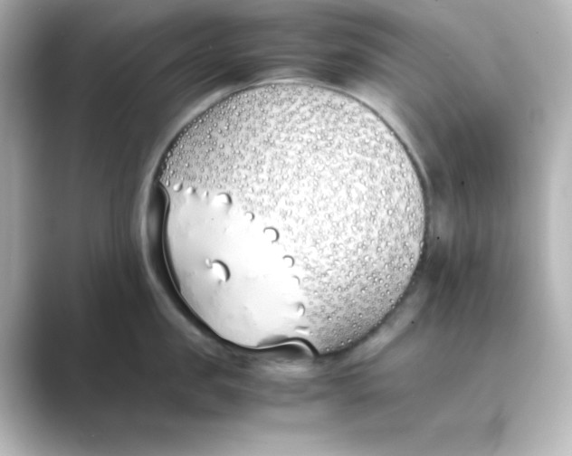 X0000088680957200706211906