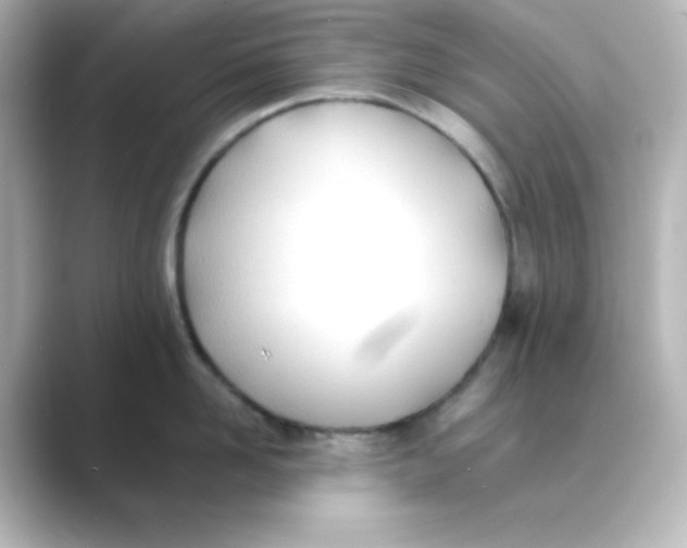 X0000088680958200706211906
