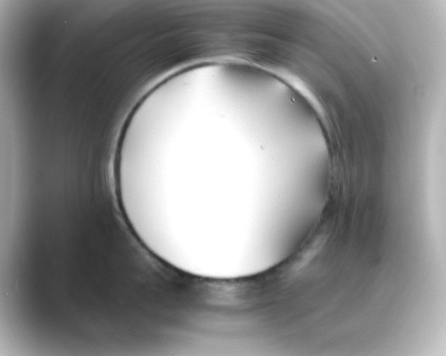 X0000088680959200706211906