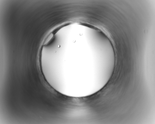 X0000088680960200706211906