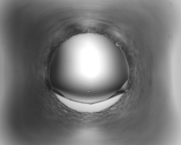 X0000088680965200706211906