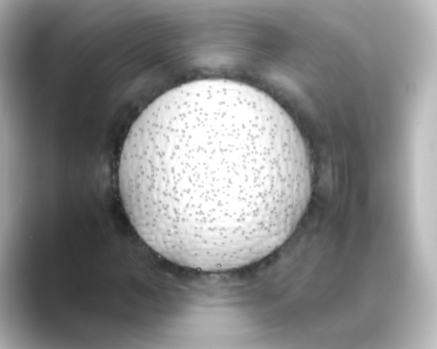 X0000088680966200706211906