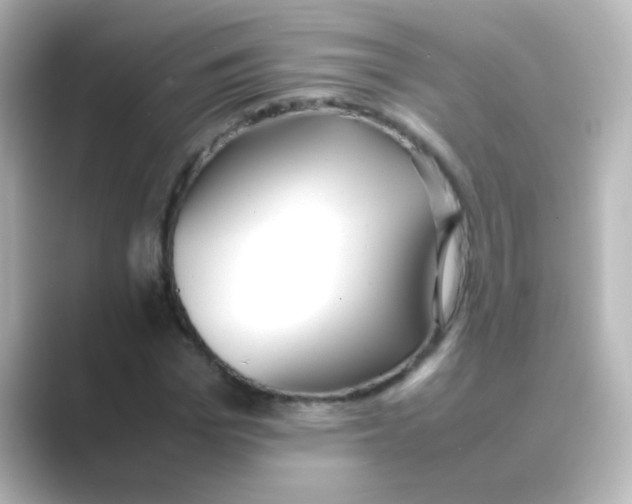 X0000088680969200706211906