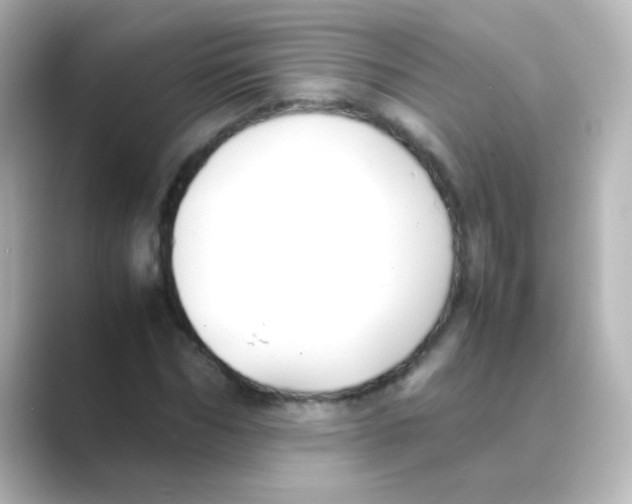X0000088680970200706211906