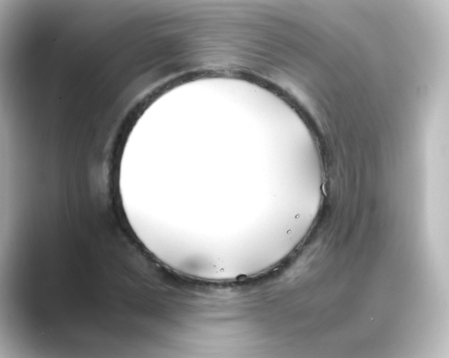 X0000088680975200706211906