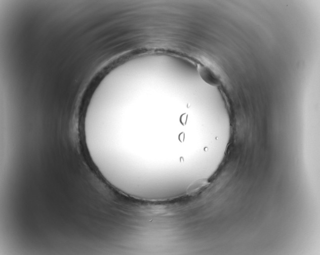 X0000088680976200706211906