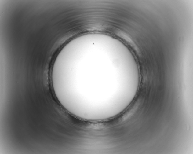 X0000088680978200706211906