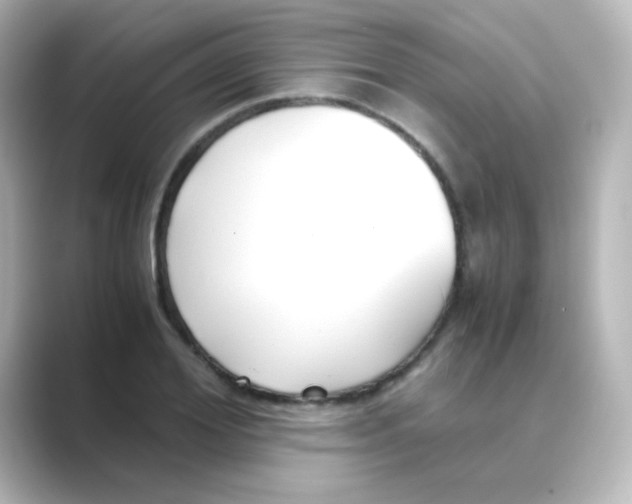 X0000088680980200706211906