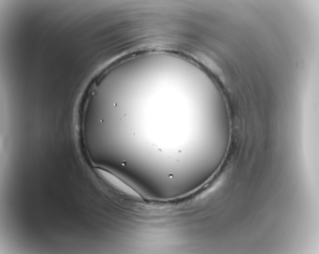 X0000088680981200706211906