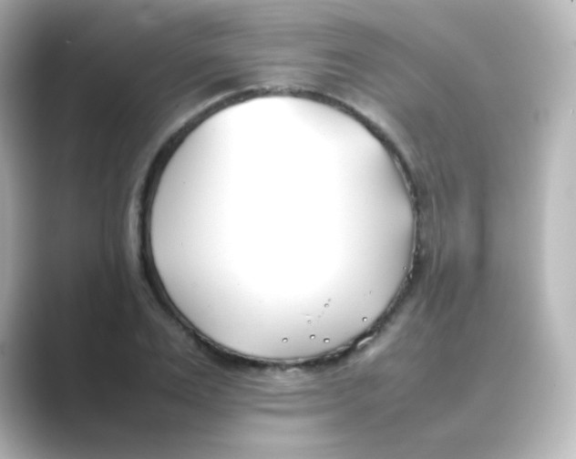 X0000088680983200706211906