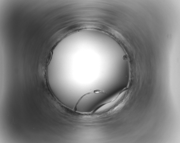 X0000088680985200706211906