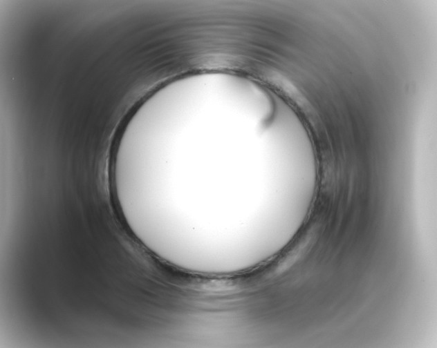 X0000088680986200706211906