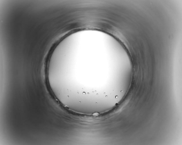 X0000088680987200706211906