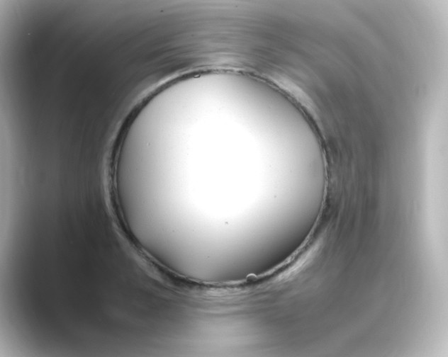 X0000088680989200706211906