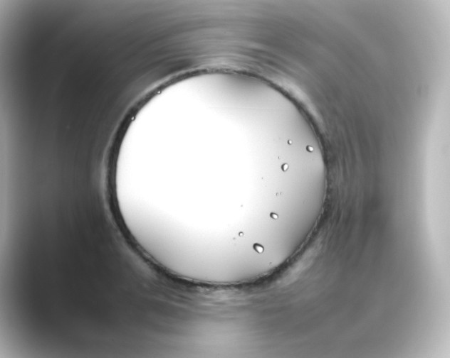 X0000088680991200706211906