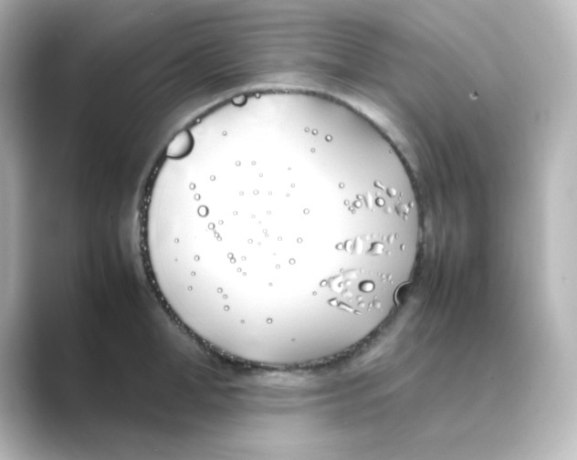 X0000088680998200706211905