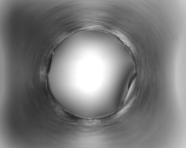 X0000088681001200706211905