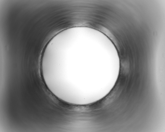 X0000088681002200706211905