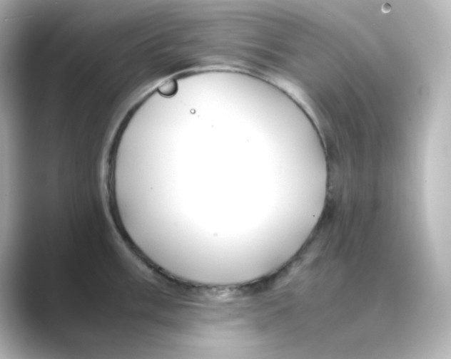 X0000088681003200706211905