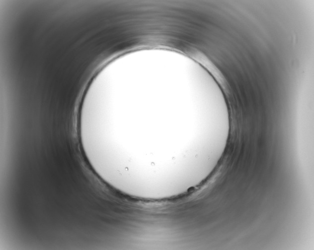 X0000088681004200706211905