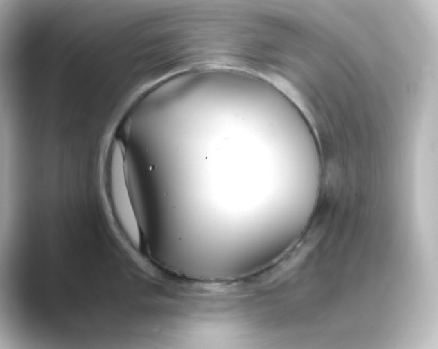 X0000088681005200706211905