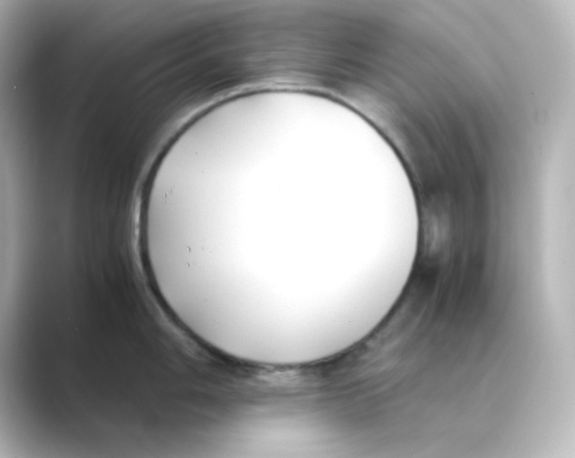 X0000088681006200706211905