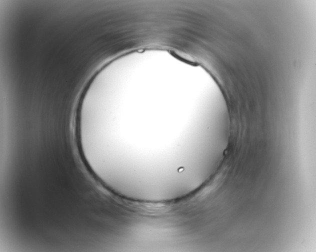 X0000088681007200706211905