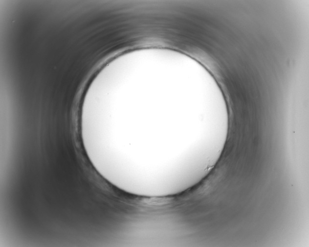 X0000088681008200706211905