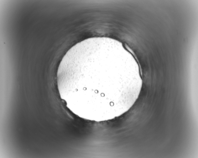 X0000088681009200706211905