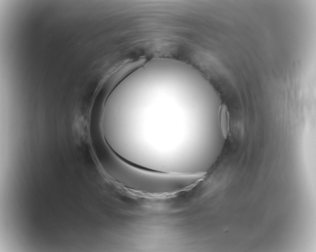X0000088681010200706211905