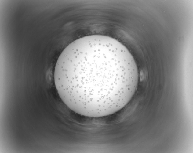 X0000088681011200706211905