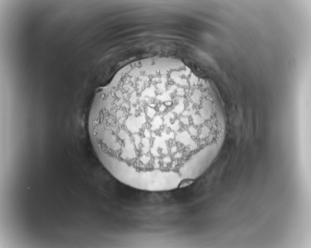 X0000088681013200706211905