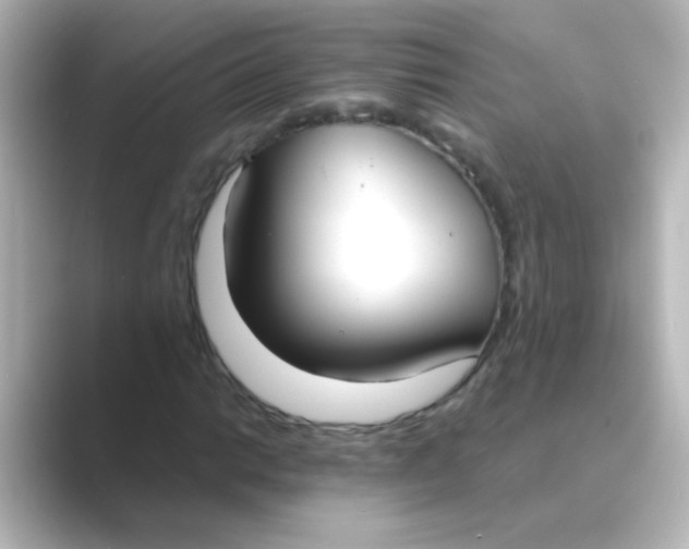 X0000088681014200706211905