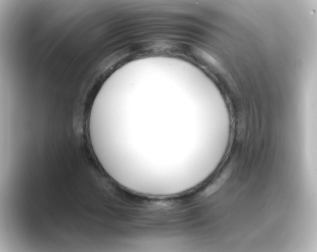 X0000088681017200706211905