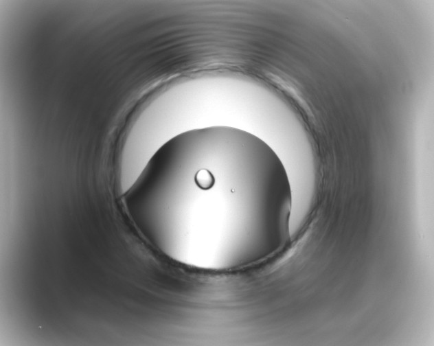X0000088681018200706211905