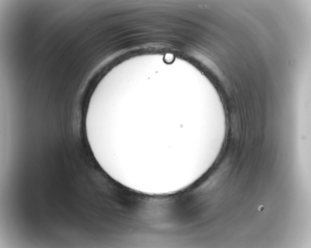 X0000088681021200706211905