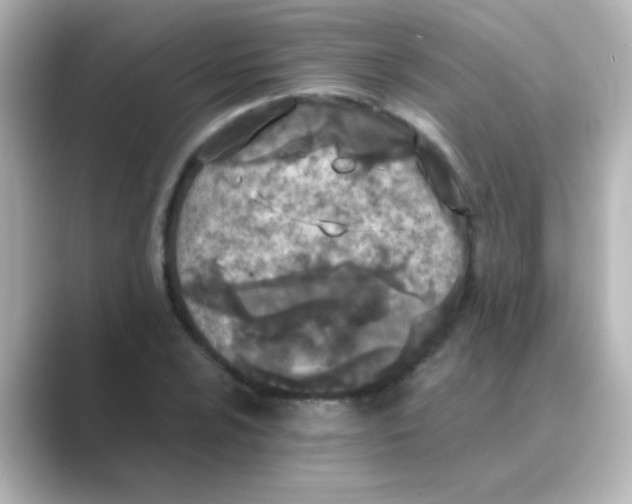 X0000088681024200706211905