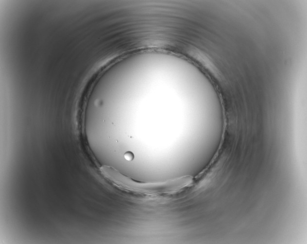X0000088681026200706211905