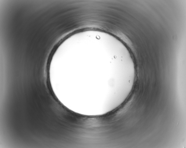 X0000088681028200706211905