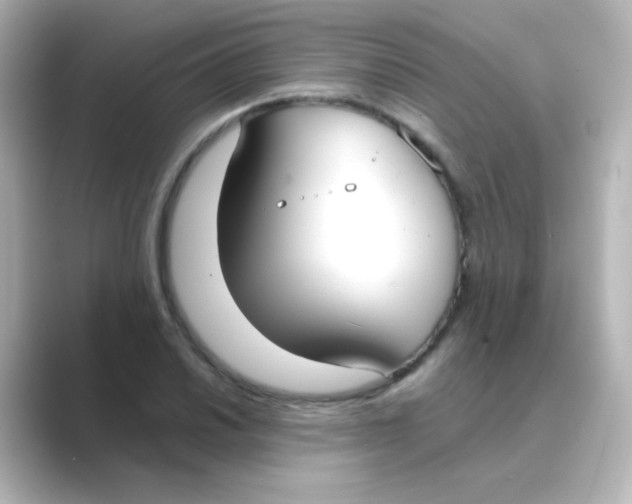 X0000088681030200706211905