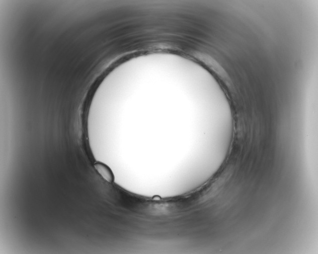 X0000088681031200706211905