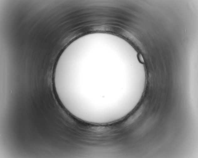 X0000088681033200706211905