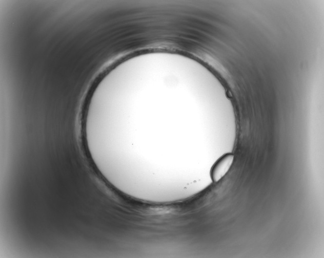 X0000088681037200706211905