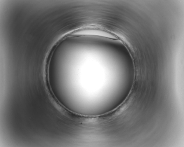 X0000088681038200706211905